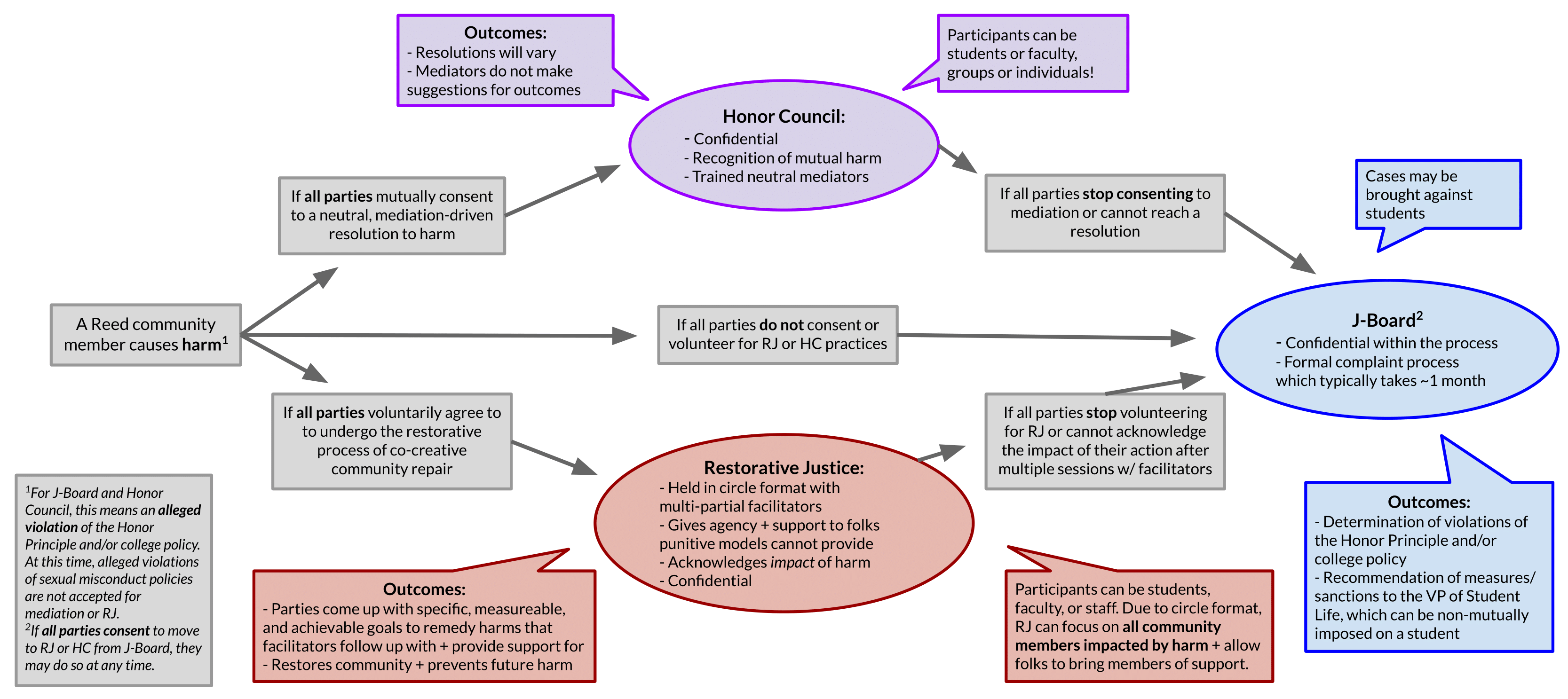 flowchart explaining the roles of each of the judicial review processes
